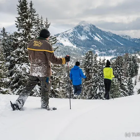 Turrach 410 By Alps Daire